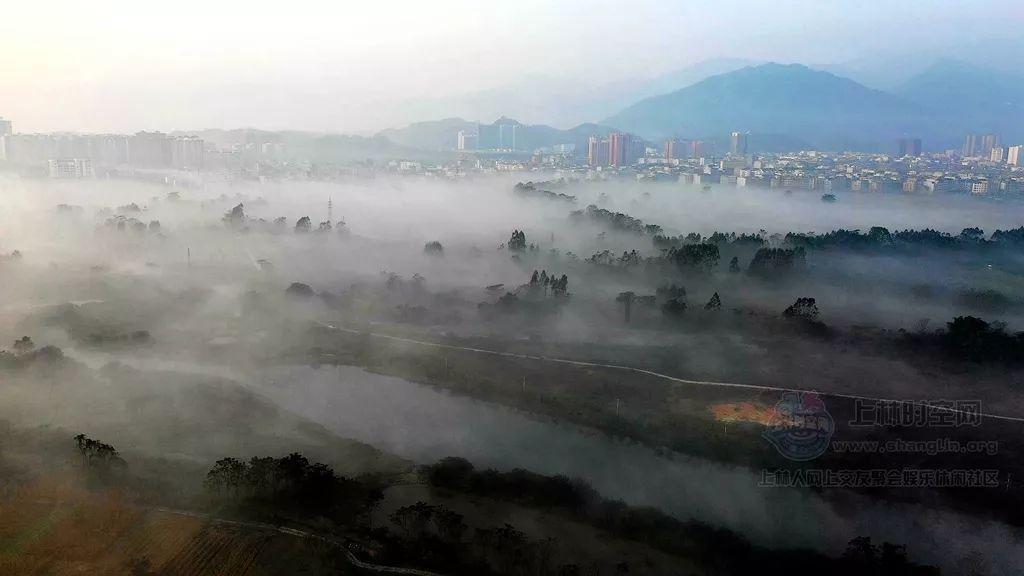 艺人名星代言和体育冠军代言有什么不同?