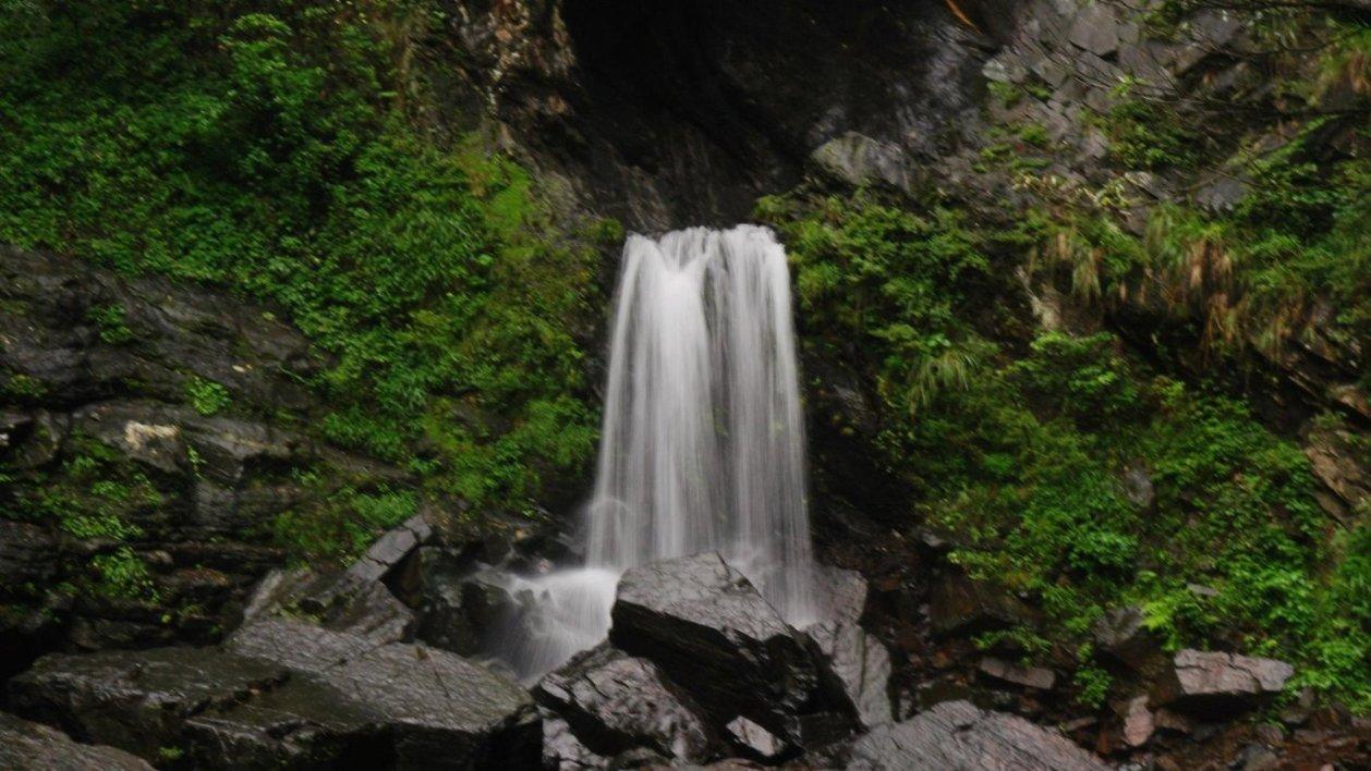 迷失在荒野